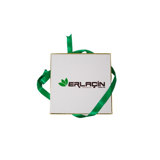 Erlaçin